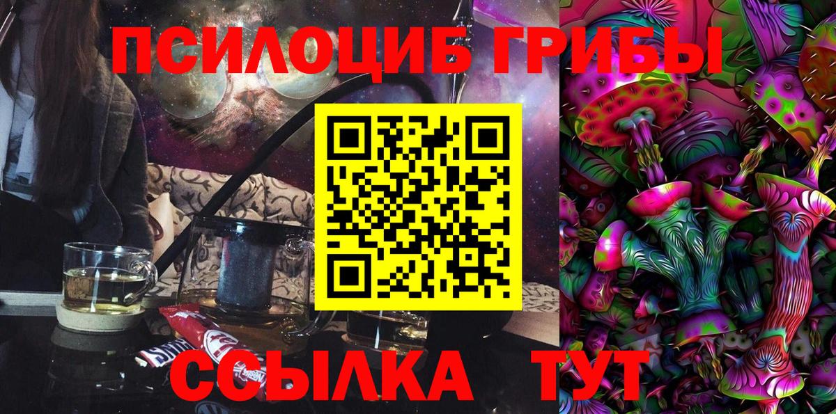 Галлюциногенные грибы Psilocybine cubensis Тамбов