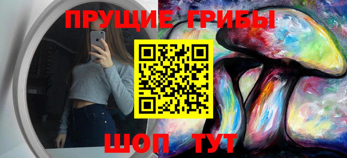Псилоцибиновые грибы Psilocybe  Вход с VPN  Тамбов  Галлюциногенные грибы Psilocybe 
