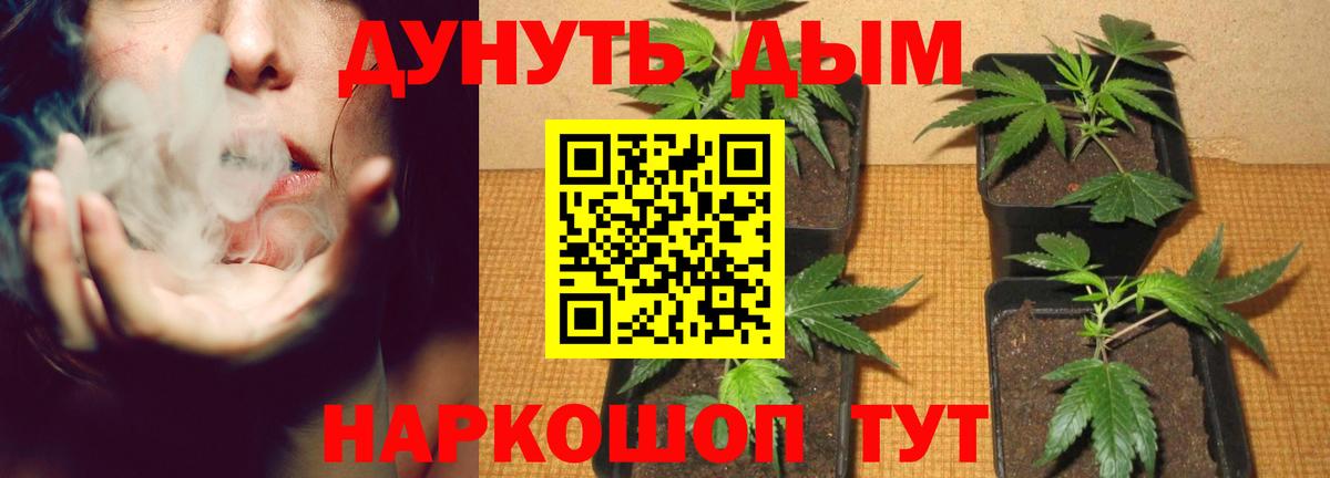 МАРИХУАНА SATIVA & INDICA  Канабис индика  Марихуана марихуана  Тамбов  Вход с VPN 